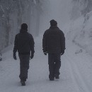 44 Fotozirkel Mannheim e.V. Ulrike Misera